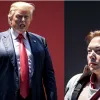 Розкол між Трампом та Маском: Республіканці сподіваються на примирення