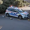 Затримано пару на Гран-Канарії: 19-річна дівчина та її хлопець підозрюються у вбивстві дідуся