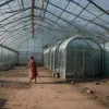 Життя в теплицях: без води та електрики – страждання мігрантів в Іспанії
