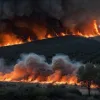 В Іспанії локалізували більшість лісових пожеж: ситуація під контролем