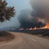 Греція палає: тисячі евакуйовано через пожежі на тлі аномальної спеки