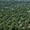 Житловий бум в Мадриді: район Тетуан задихається від новобудов та браку зелені