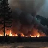 Лісова пожежа в Галісії: одна людина загинула в Оренсе