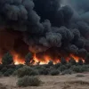 Лісова пожежа на Криті: евакуйовано понад 1000 осіб, ситуація ускладнюється