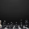 Шаховий тріумф у Леоні: В'єтнамський гросмейстер перемагає Ананду у фіналі