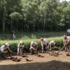 ЄС хоче платити за природу: як працюватимуть "кредити"?