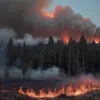 Пожежа в Таррагоні: Опубліковано фото з місця подій