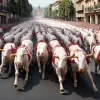 Сан-Фермін: Третій енсьєрро в Памплоні — фоторепортаж