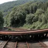 Падіння дерева на колії в Мадриді спричинило затримки приміських поїздів