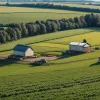 Світове виробництво продовольства зросте на 14% за 10 років: прогноз та наслідки для України