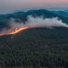 Лісова пожежа в Іспанії: Вогонь загрожує домівці бурого ведмедя