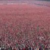 Шейнбаум планує пом'якшити правила для заснування політичних партій у Мексиці
