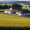 Пивоварня з Лієрганеса переробляє відходи, виробляючи сир і годуючи корів