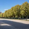 Іспанія на фінішній прямій спеки: майже вся країна в зоні небезпеки