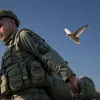 Відставка військових та розвідників: Ізраїль закликають припинити війну в Газі та звільнити заручників