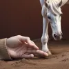 Трагедія на Менорці: кінь відкусив палець туристці під час святкування