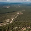Лісова пожежа в Таріфі: евакуація, збитки та боротьба зі стихією