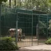 Таємний зоопарк в Іспанії: поліція виявила 150 тварин рідкісних видів