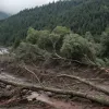 Зсуви та повалені дерева: Каталонія потерпає від негоди, паралізовано транспорт