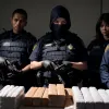 Удар по Картелю Сіналоа: DEA затримала сотні осіб та вилучила тонни наркотиків